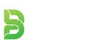 bpract software solutions logo