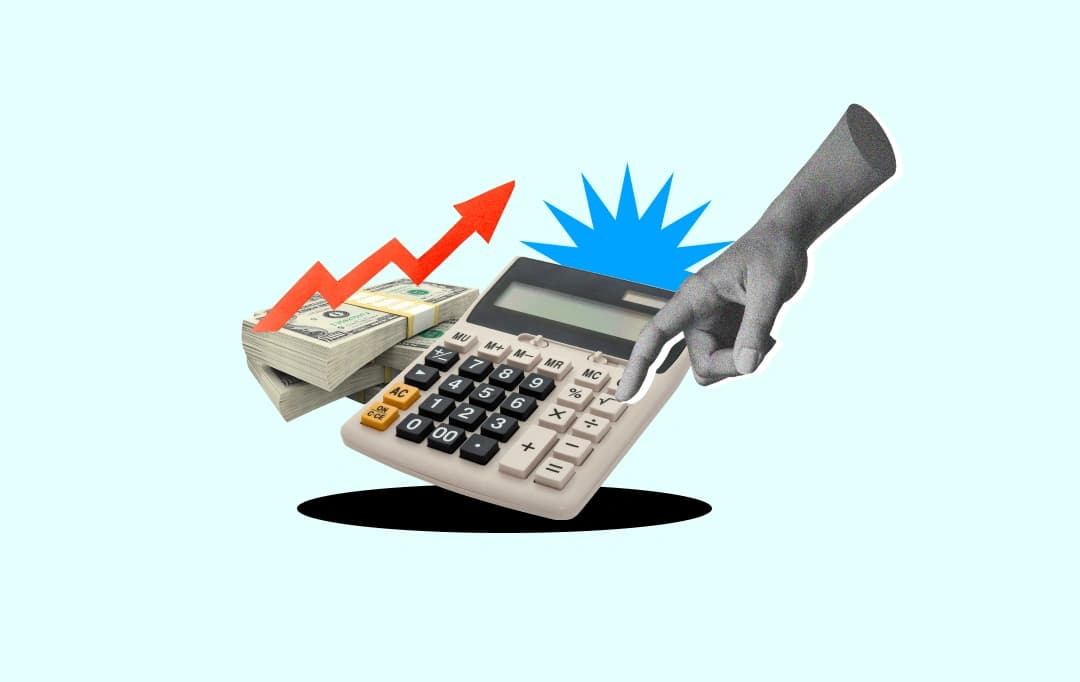 net profit margin
