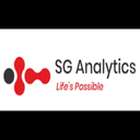 SG Analytics logo