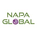 NAPA Global | IT Services and Consulting logo