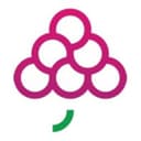 GrapesTech Solutions logo