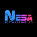 Nesa software logo