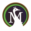 Moreweb Solutions logo