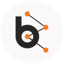 Bluebash LLC logo