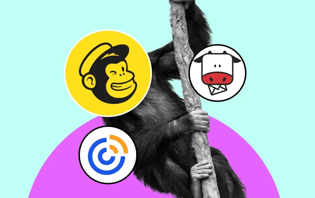 The Best Mailchimp Alternatives to Scale Your Marketing